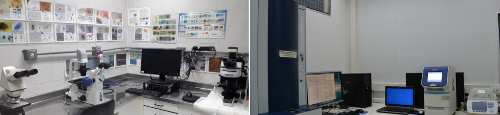 Microbiologia e Parasitologia » Laboratórios » Laboratórios