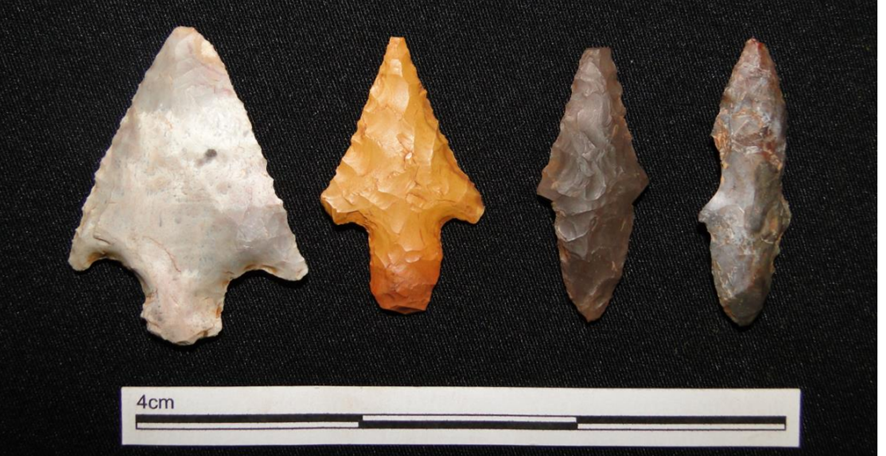 Leia mais sobre o artigo Avaliação de impacto ambiental colabora na descoberta de sítios arqueológicos pré-coloniais